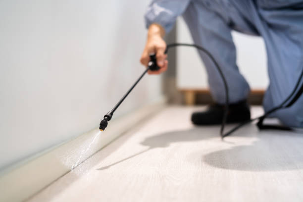 Bed Bug Pre-Treatment Preparation Assessment in Parkesburg