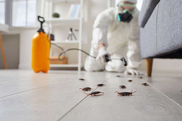 Post-Treatment Bed Bug Interceptor Monitoring in Parkesburg