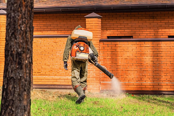 Bed Bug Clearance Verification and Documentation in Parkesburg